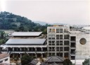丸高